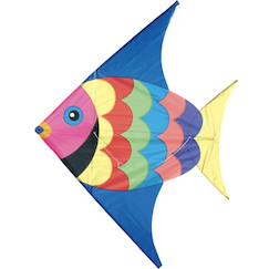 -Cerf volant poisson