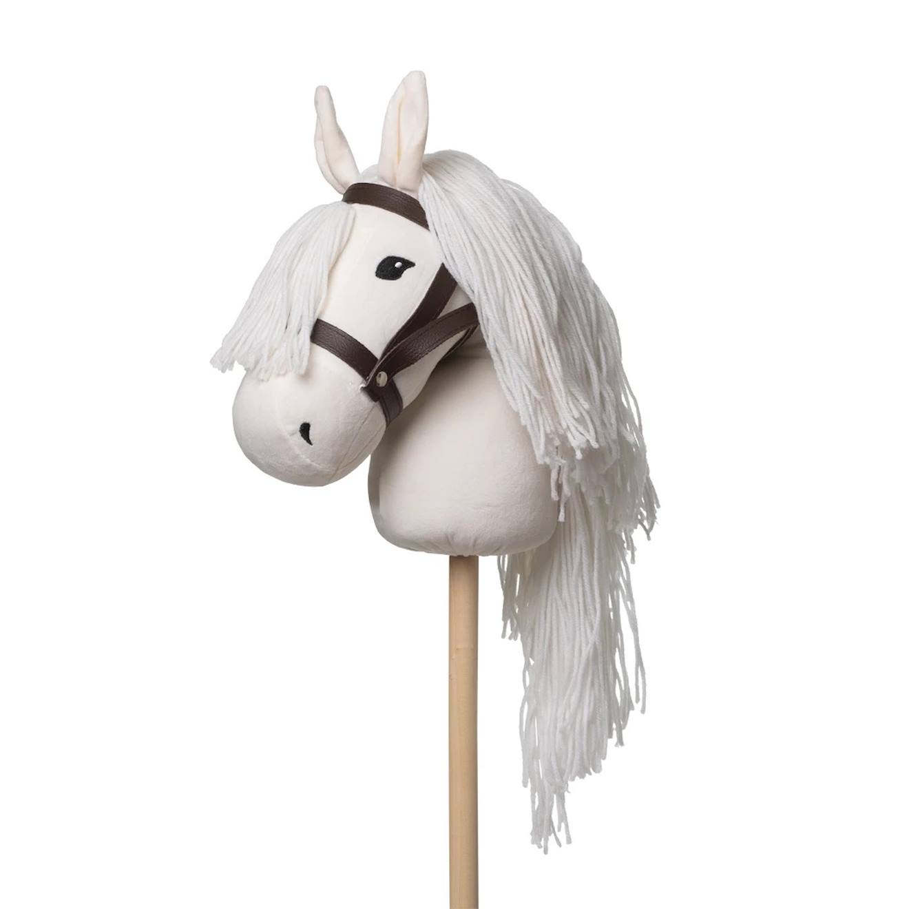 Tête De Cheval Blanc À Chevaucher Blanc