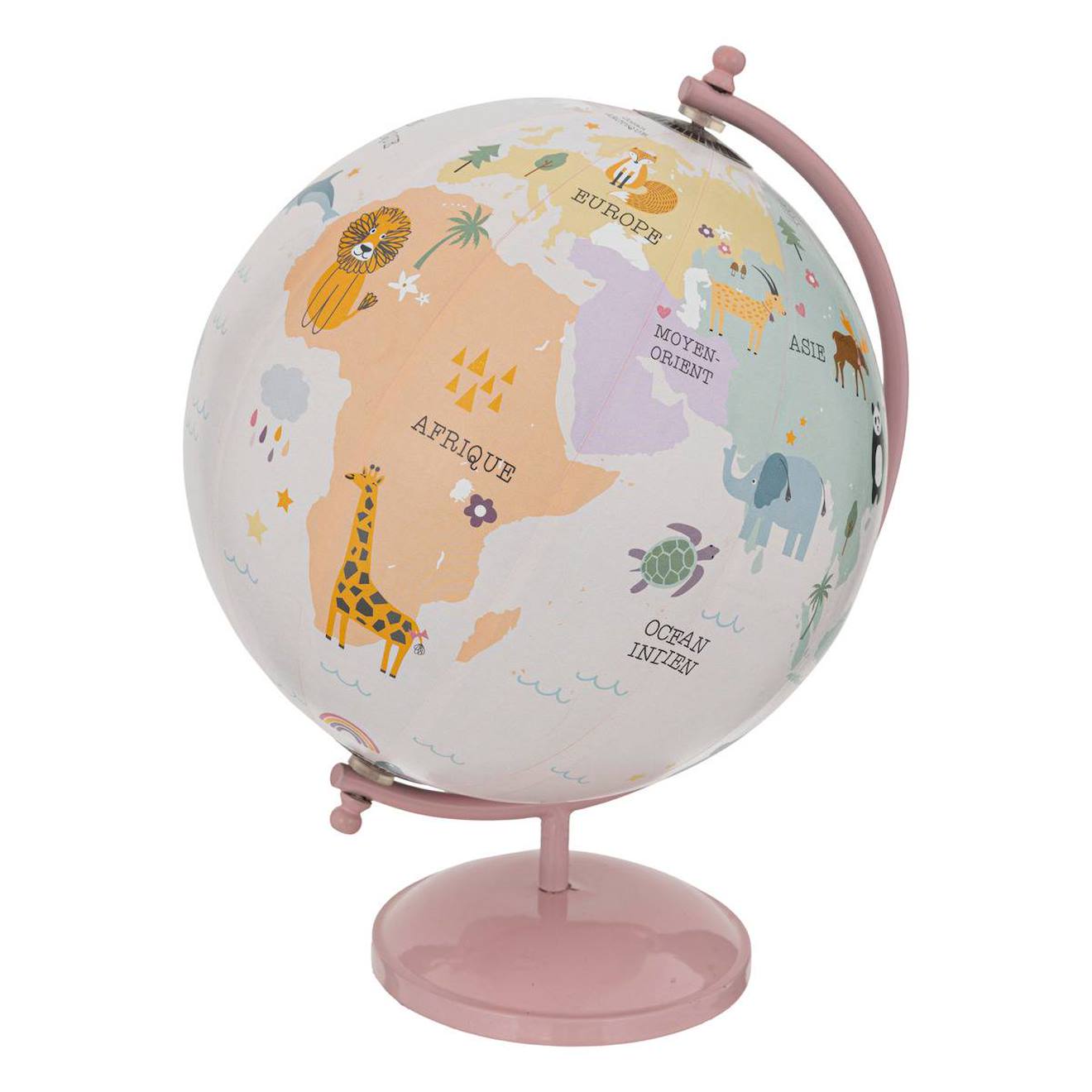 Globe Rose