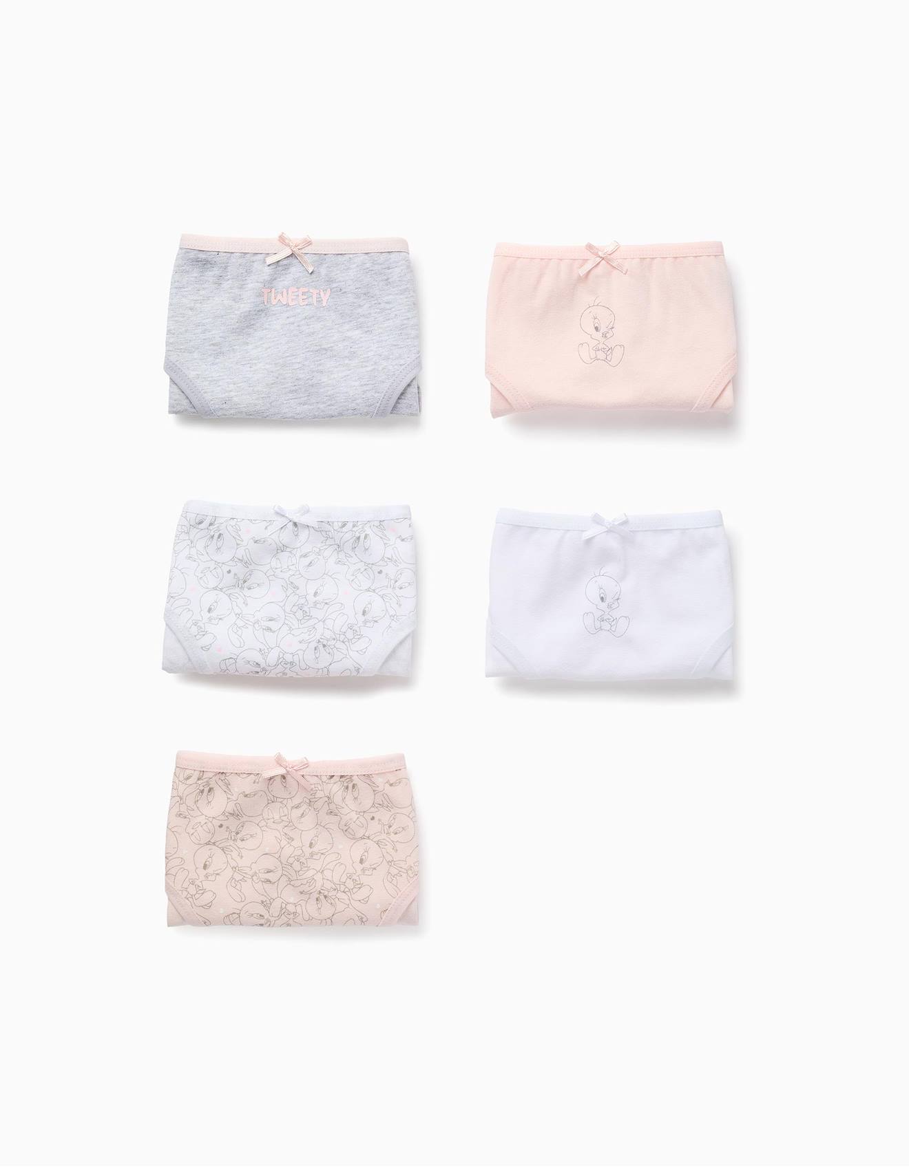 Pack 5 Culottes Princesses Multicolore