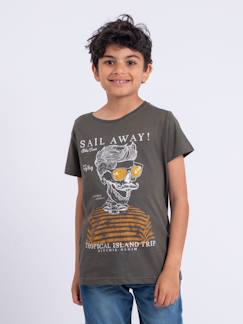 T-shirt manches courtes col rond pur coton noumick garçon  - vertbaudet enfant