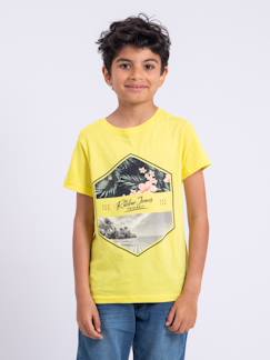 T-shirt manches courtes col rond pur coton numadoc garçon  - vertbaudet enfant