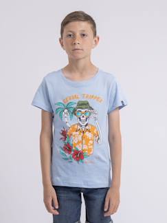 T shirt col rond pur coton nulrik garçon  - vertbaudet enfant