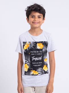 T-shirt manches courtes col rond pur coton noctavio garçon  - vertbaudet enfant