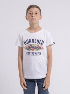 T-shirt col rond niroulio garçon  - vertbaudet enfant