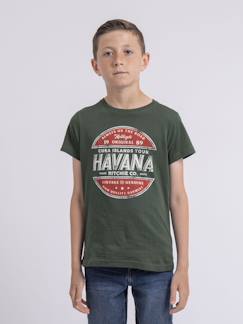 T-shirt col rond pur coton numatis garçon  - vertbaudet enfant