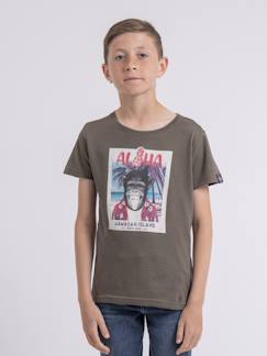T-shirt col rond nipagolo garçon  - vertbaudet enfant