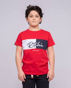 T-shirt col rond pur coton noware garçon  - vertbaudet enfant