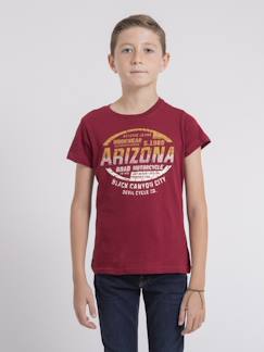 Garçon-T-shirt, polo, sous-pull-T-shirt-T-shirt col rond pur coton jacraig garçon