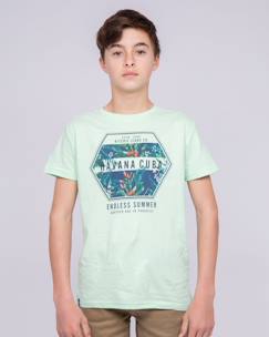 T-shirt col rond pur coton nibou garçon  - vertbaudet enfant