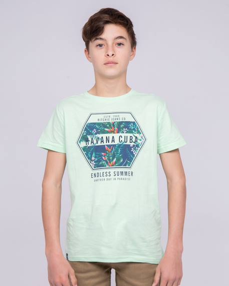 Garçon-T-shirt col rond pur coton nibou garçon
