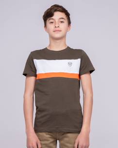 T-shirt col rond pur coton namlet garçon  - vertbaudet enfant