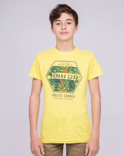 Garçon-T-shirt, polo, sous-pull-T-shirt col rond pur coton nibou garçon
