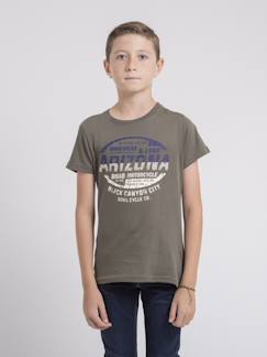 T-shirt col rond pur coton jacraig garçon  - vertbaudet enfant
