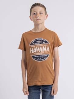 T-shirt col rond pur coton numatis garçon  - vertbaudet enfant