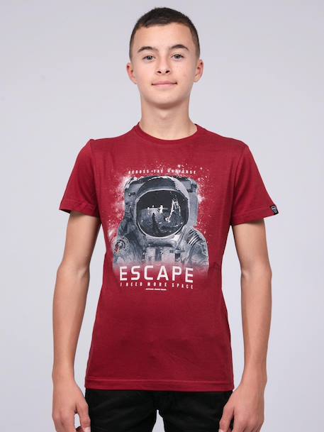 T-shirt col rond pur coton jooster garçon  - vertbaudet enfant