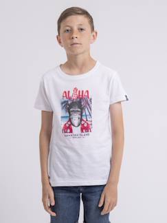 T-shirt col rond nipagolo garçon  - vertbaudet enfant