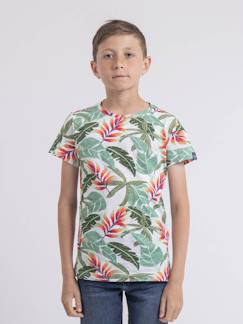 T-shirt col rond nirindo garçon  - vertbaudet enfant