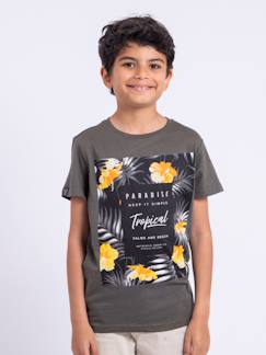 T-shirt manches courtes col rond pur coton noctavio garçon  - vertbaudet enfant