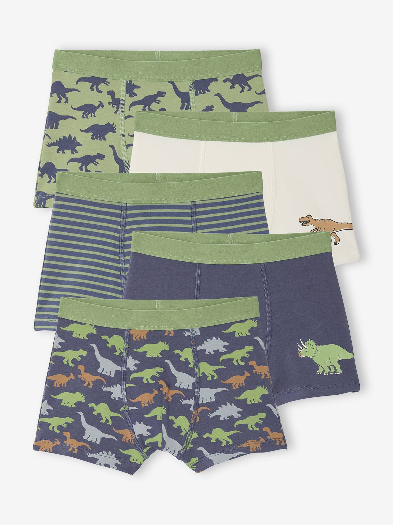 Lot 5 Boxers Garçon Dinosaures bleu ardoise