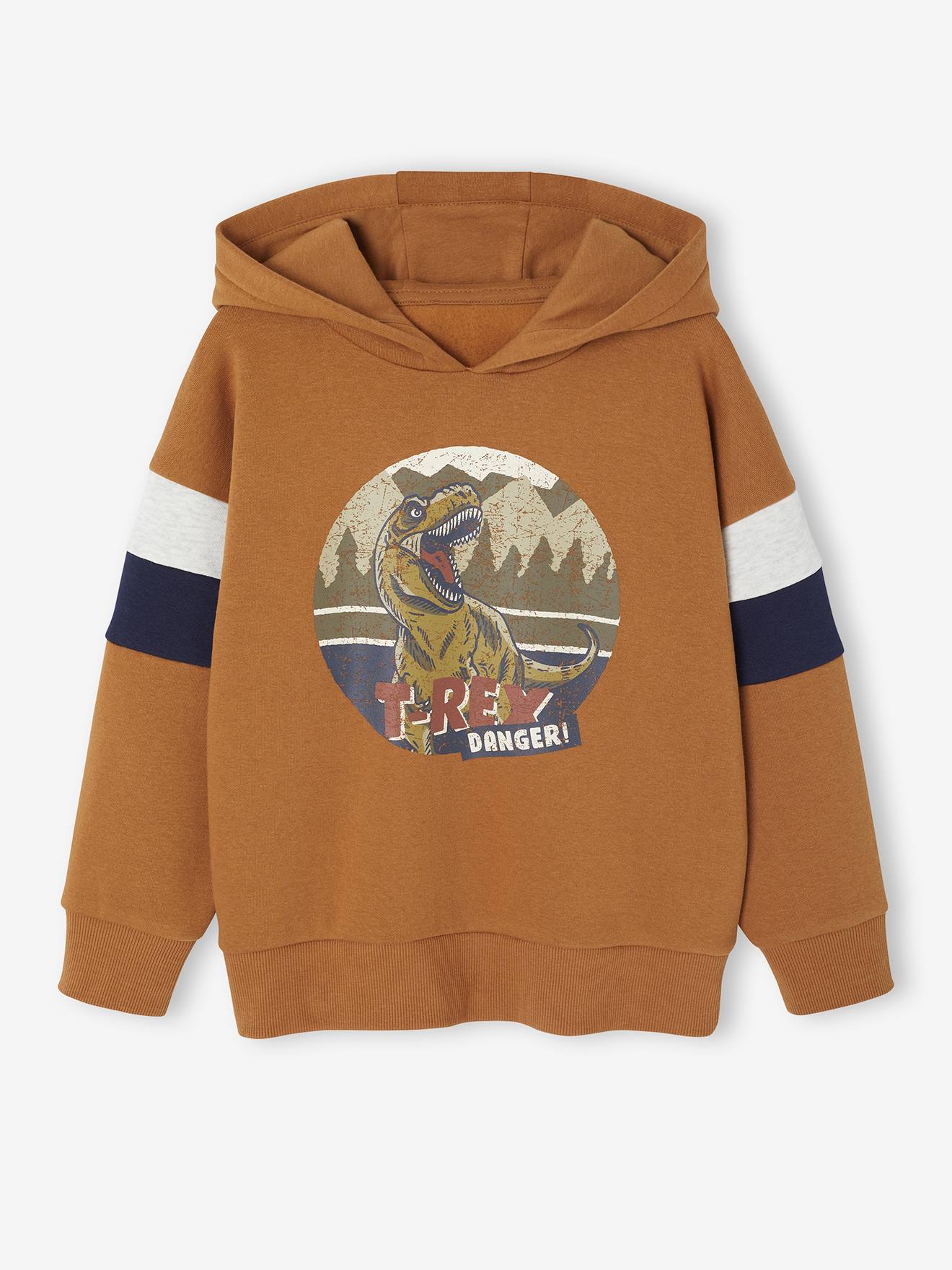 Sweat garon capuche motif plac noix de pcan 9 €