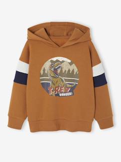 Sweat garçon à capuche motif placé  - vertbaudet enfant