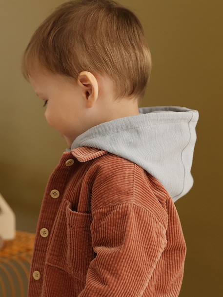 T-shirt à capuche bébé bleu glacier+sable+tomette 2 - vertbaudet enfant 