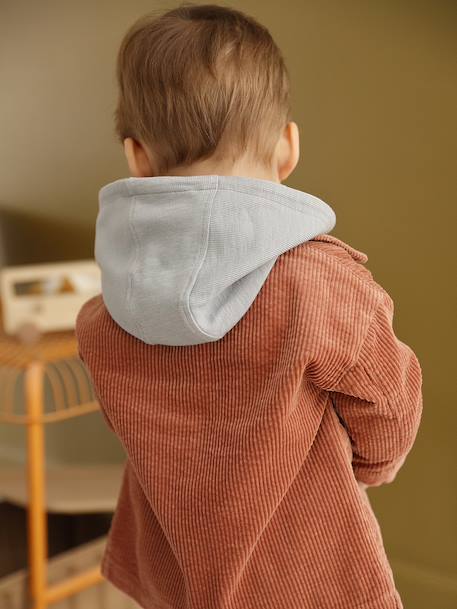 T-shirt à capuche bébé bleu glacier+sable+tomette 6 - vertbaudet enfant 