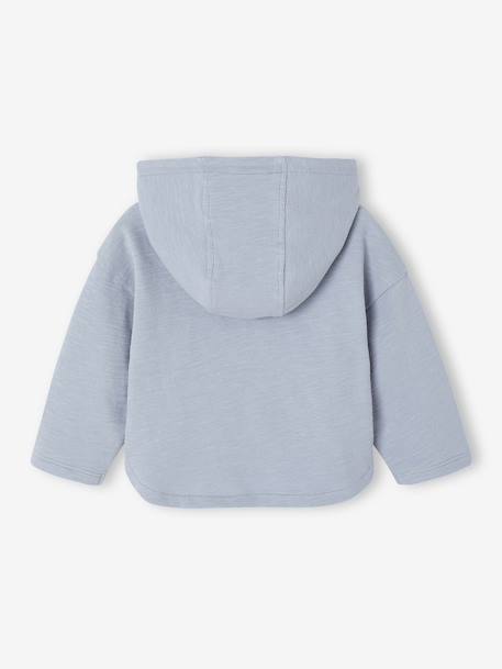 T-shirt à capuche bébé bleu glacier+sable+tomette 5 - vertbaudet enfant 