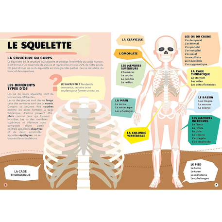 Puzzle & livre - voyagez découvrez explorez le corps humain Bleu 4 - vertbaudet enfant 