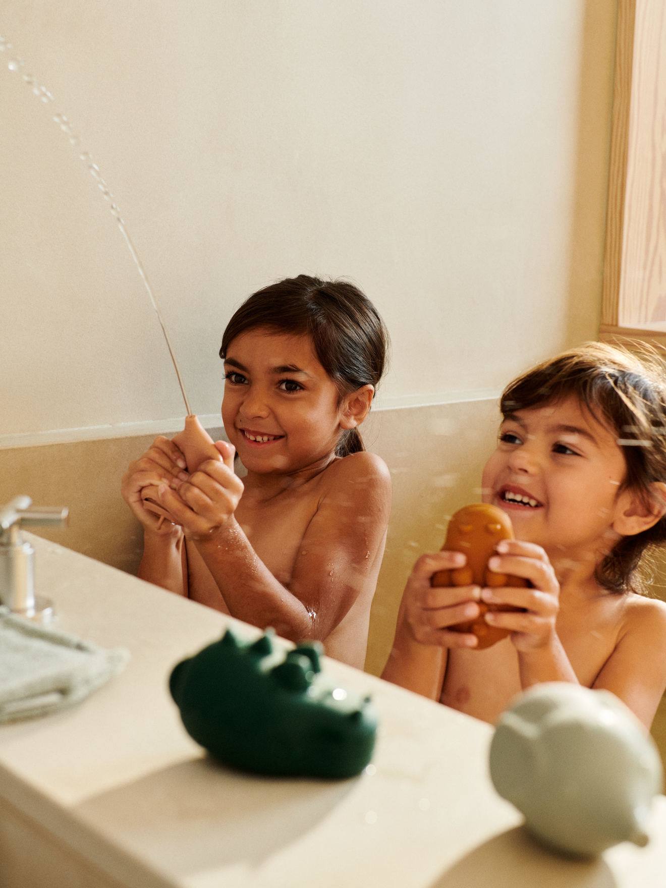 Lot de 4 aspergeurs animaux compressibles multicolore