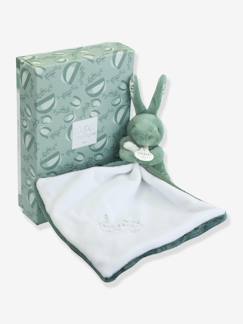 -Lapin doudou -