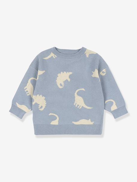 Garçon-Pull, gilet, sweat-Sweat dinosaures