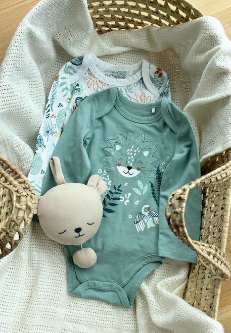Bébé-Lot de 2 bodies bébé manches longues roméo