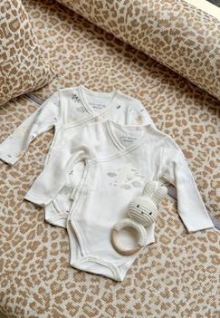 Lot de 2 bodies bébé manches longues ouverture croisée câlins  - vertbaudet enfant