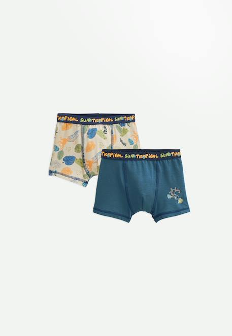 Garçon-Sous-vêtement-Lot de 2 boxers garçon monkey