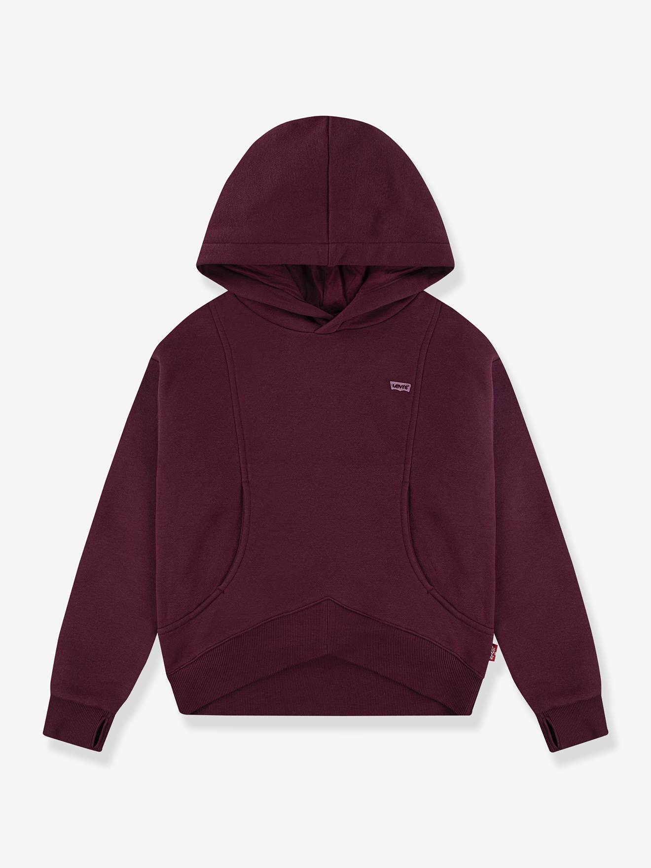 Sweat à capuche Batwing Patch Hoodie LEVI'S marron