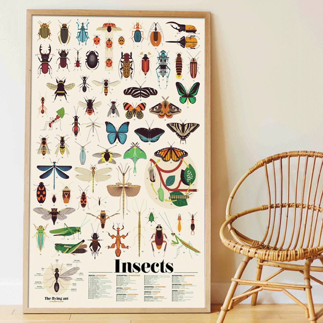 Poster Géant 44 Stickers Insectes Multi-coloured