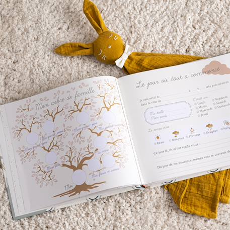 Atmosphera - Livre De Naissance Bébé - Liti Vert