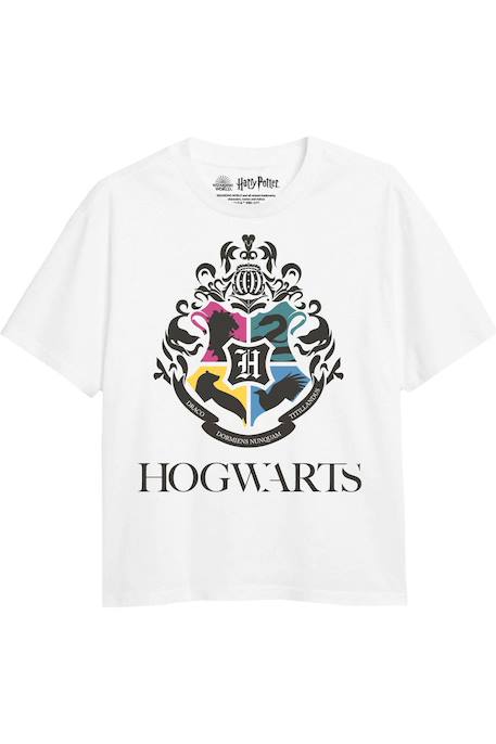 Fille-T-shirt, sous-pull-T-shirt motif maisons de poudlard- coton harry potter