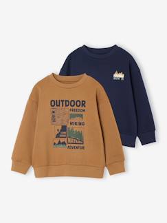 Lot 2 Sweats Col Rond Print garçon  - vertbaudet enfant
