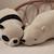 Peluche ours polaire shiro (51 cm) Écru 4 - vertbaudet enfant 