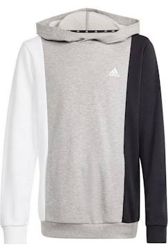 Sweat à capuche coton  - vertbaudet enfant