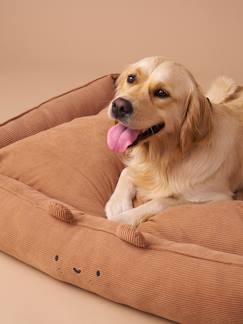 -Panier matelassé en velours pour chien, disponible en 3 tailles
