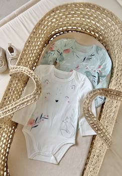 Lot de 2 bodies bébé manches longues dina  - vertbaudet enfant