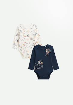 Lot de 2 bodies bébé manches longues cirque d'automne  - vertbaudet enfant