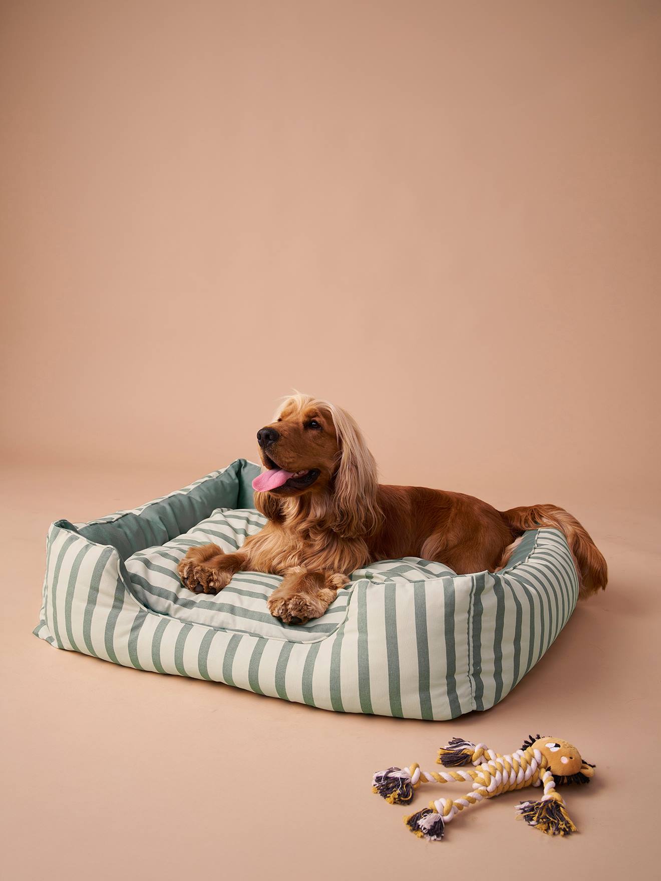 Panier en toile de coton pour chien rayé vert