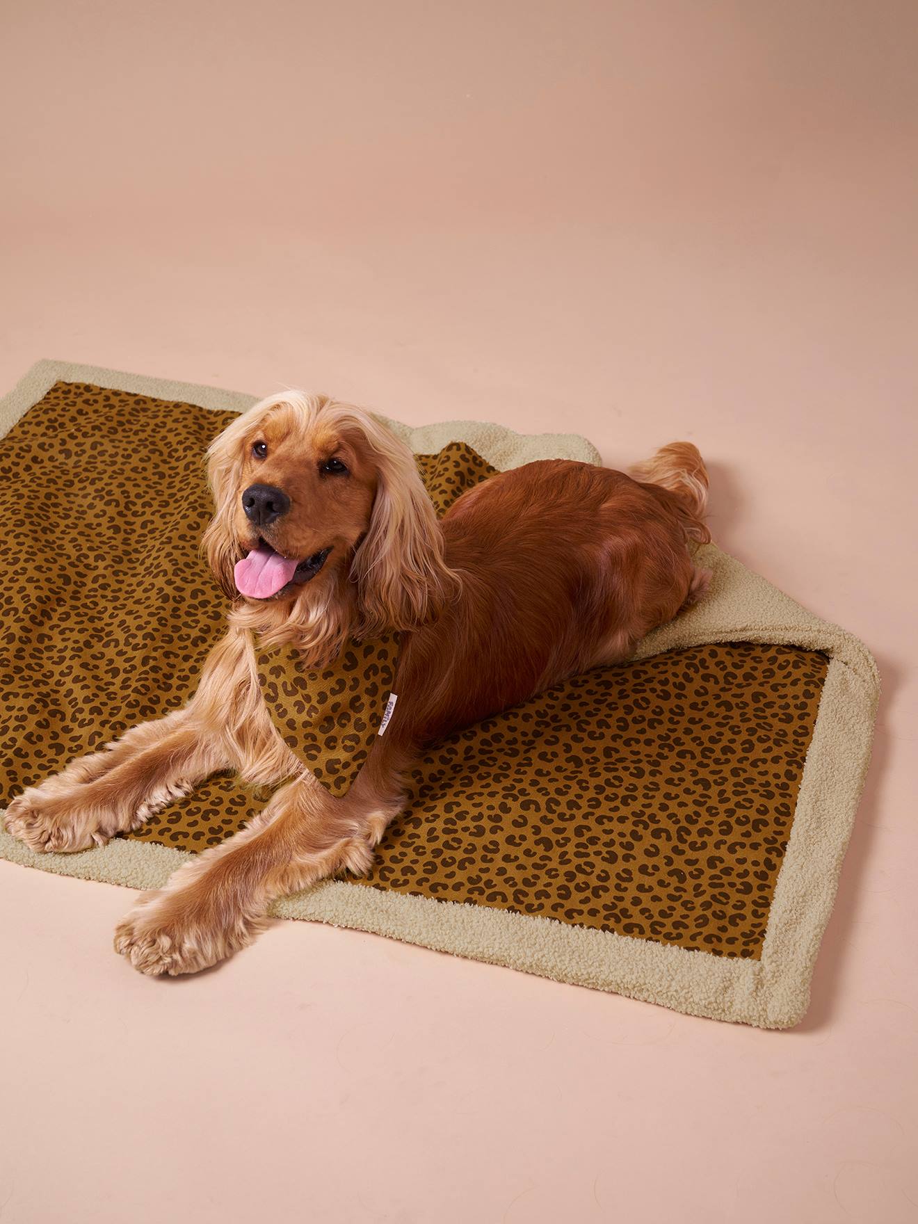 Tapis / plaid nomade pour chien marron imprimé