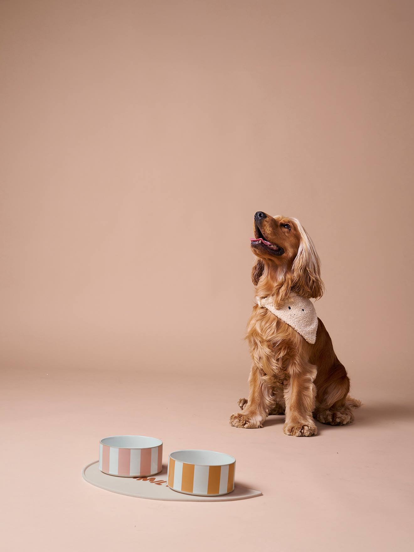 Vertbaudet Tapis pour gamelle animaux beige