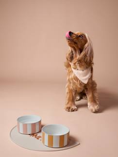 -Gamelle en céramique pour chien